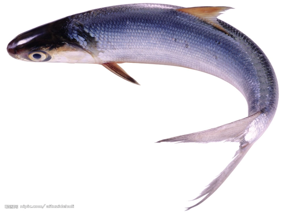 钓鱼的启示 (6)_第3页