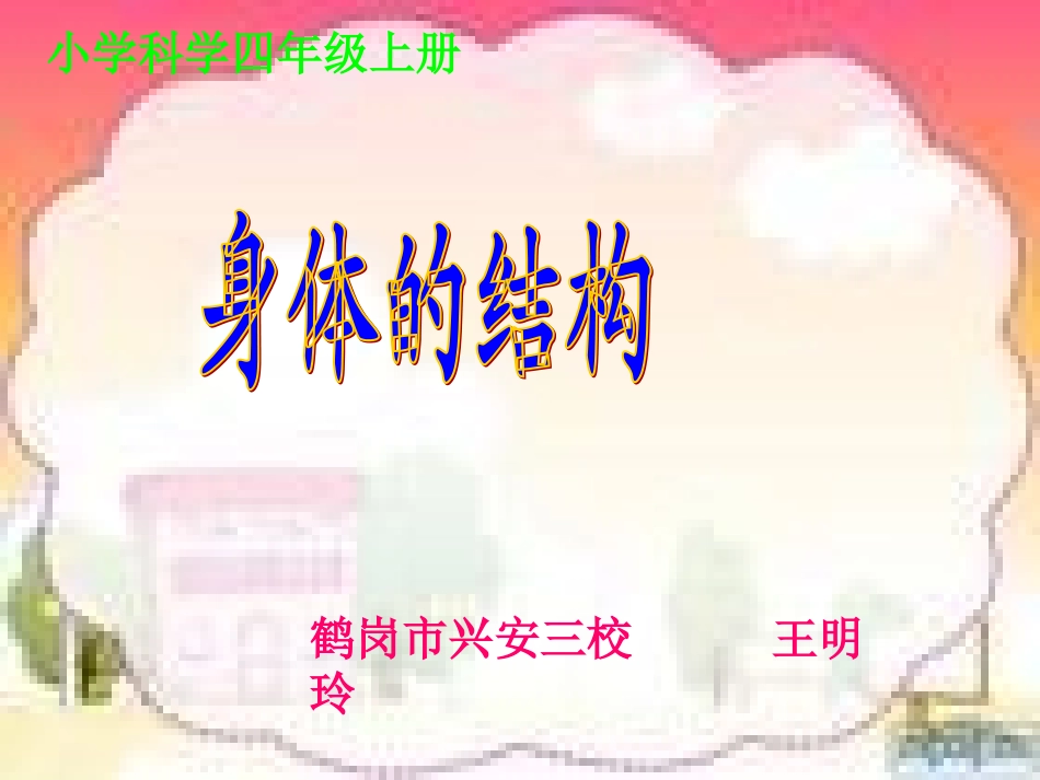 身体的结构课件_第2页