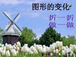 折一折做一做PPT