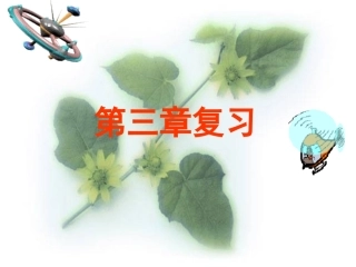 物质构成的奥秘复习课