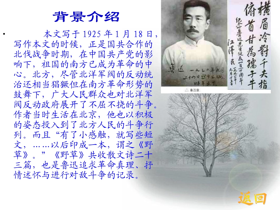 鲁迅《雪》2_第3页