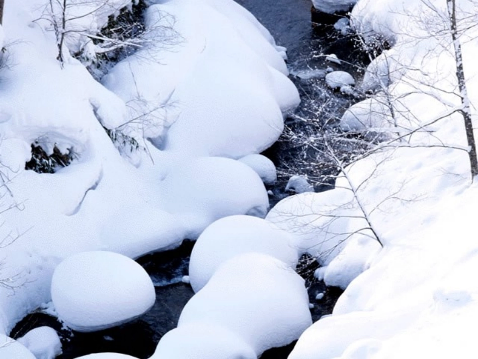 湖心亭看雪[Annotated]1_第2页