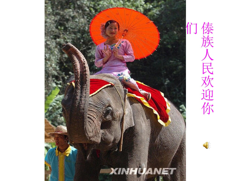 金孔雀轻轻跳______课件_第2页