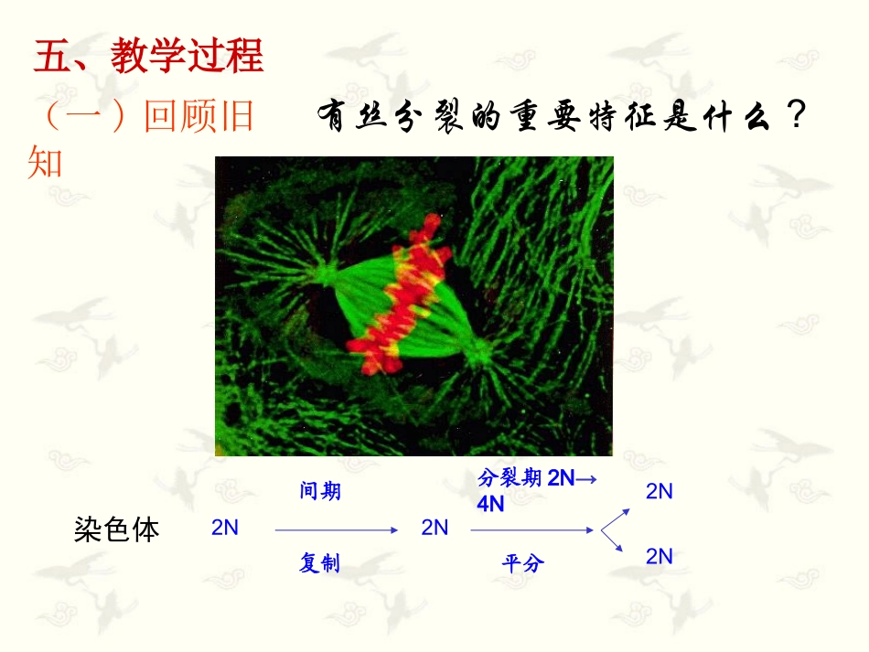 减数分裂和受精作用_第2页