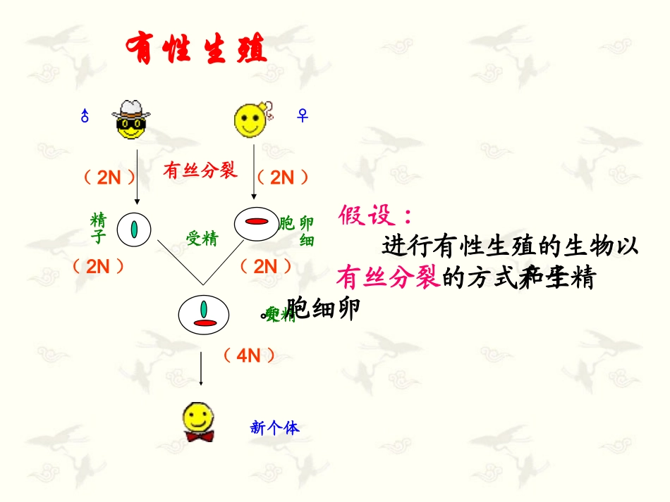 减数分裂和受精作用_第3页