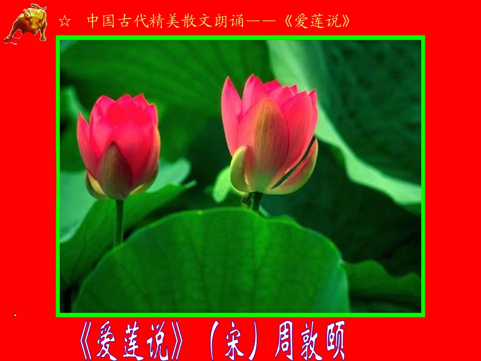 爱莲说（视频朗诵）_第1页
