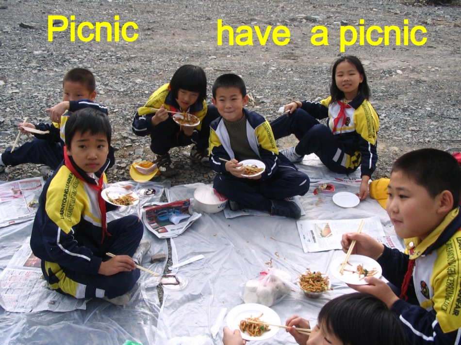 小学英语三起点第四册Module3_Will_you_take_your_kite_第3页