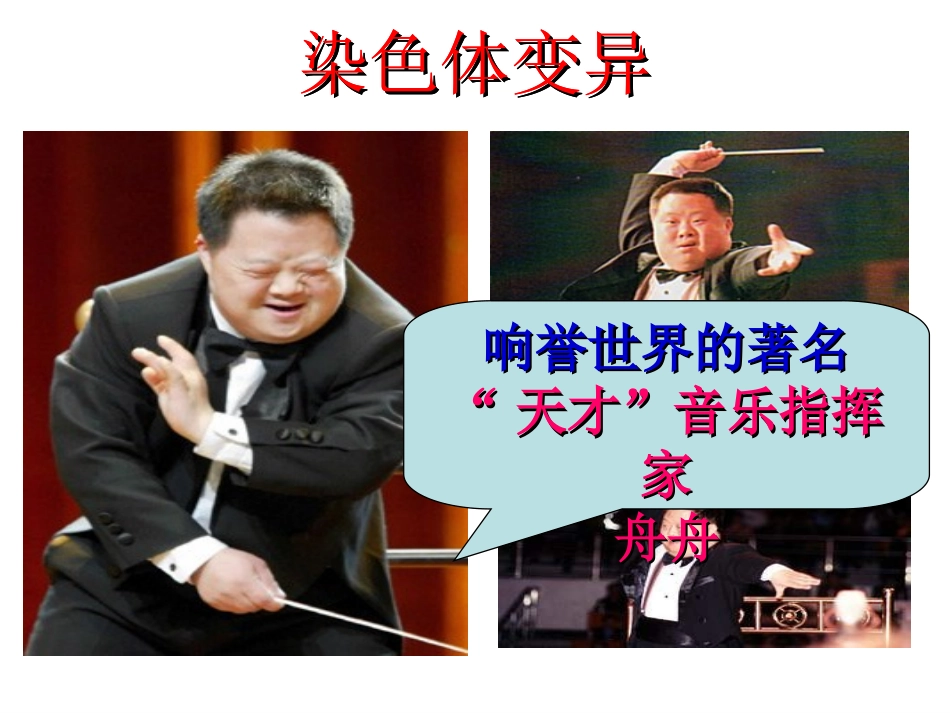 染色体变异习题课_第1页