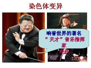 染色体变异习题课
