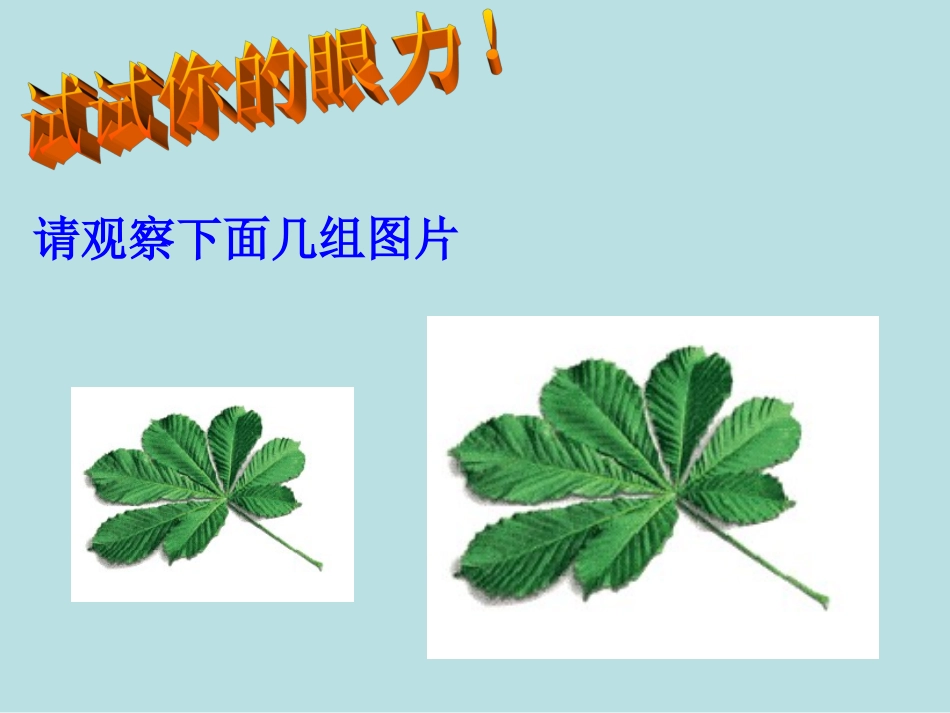 初中三年级数学下册第27章相似271图形的相似第一课时课件_第2页