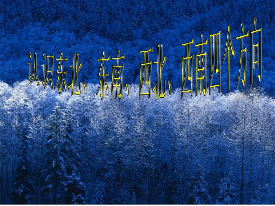 认识东北、东南、西北、西南四个方向_第1页