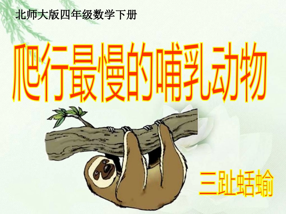 北师大版小学四年级下学期数学《爬行最慢的哺乳动物课件PPT》_第1页