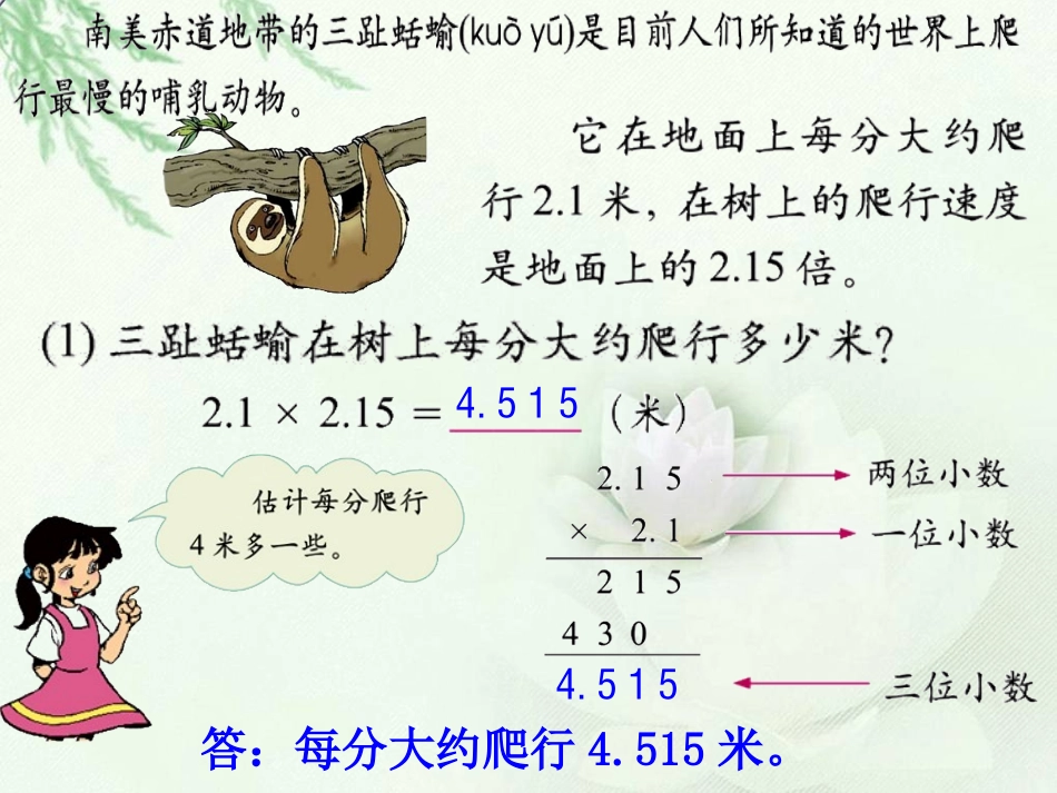 北师大版小学四年级下学期数学《爬行最慢的哺乳动物课件PPT》_第3页