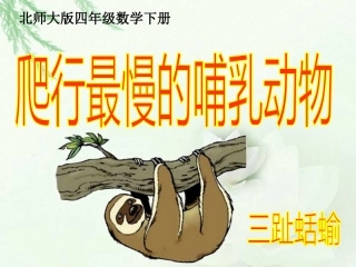 北师大版小学四年级下学期数学《爬行最慢的哺乳动物课件PPT》