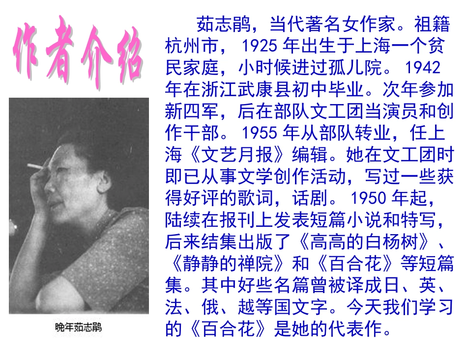 《百合花》课件 (2)_第2页
