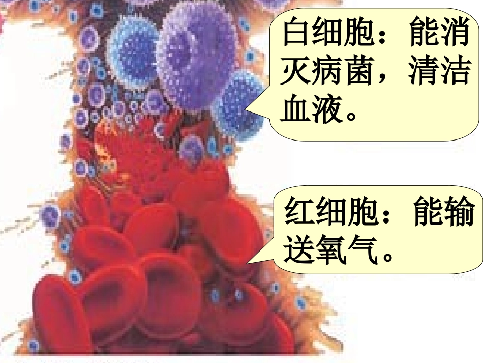 用万作单位的数 (2)_第3页