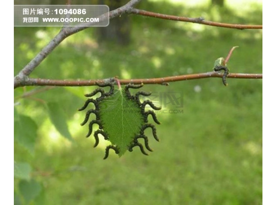 太空里的植物_第3页