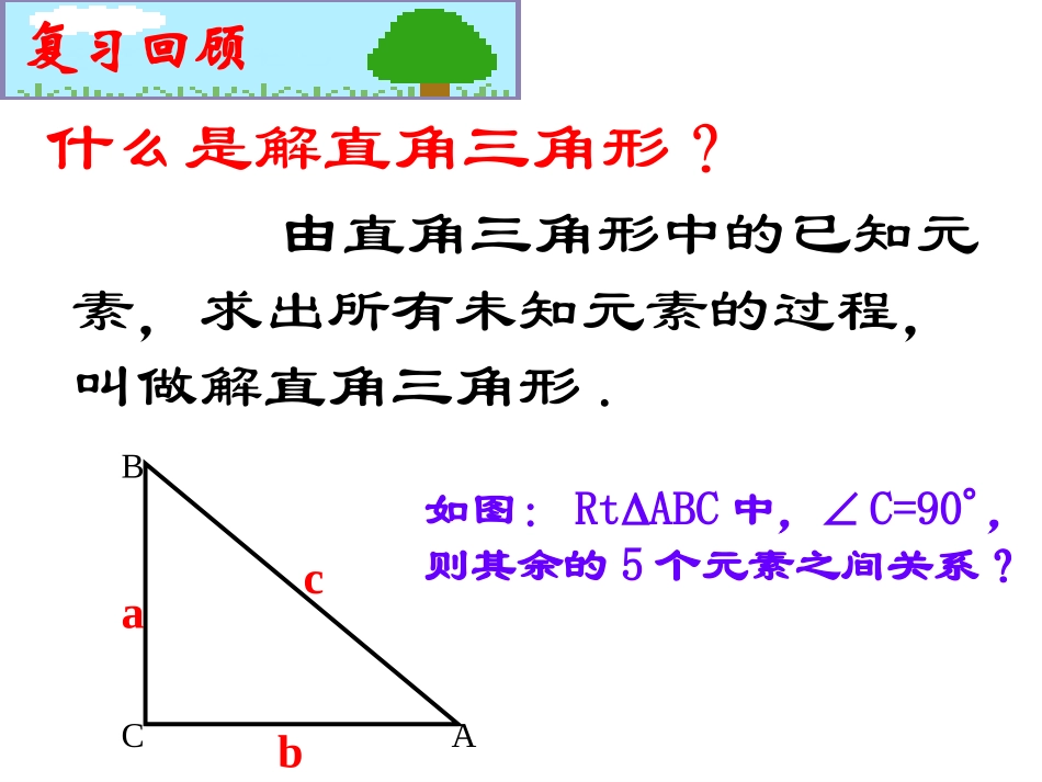 解直角三角形复习课_第2页