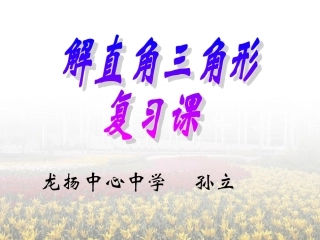 解直角三角形复习课