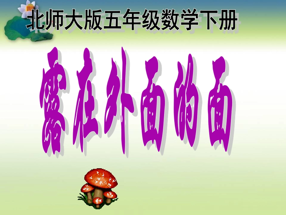 露在外面的面 (2)_第1页