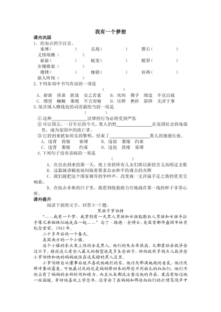 《我有一个梦想》练习题