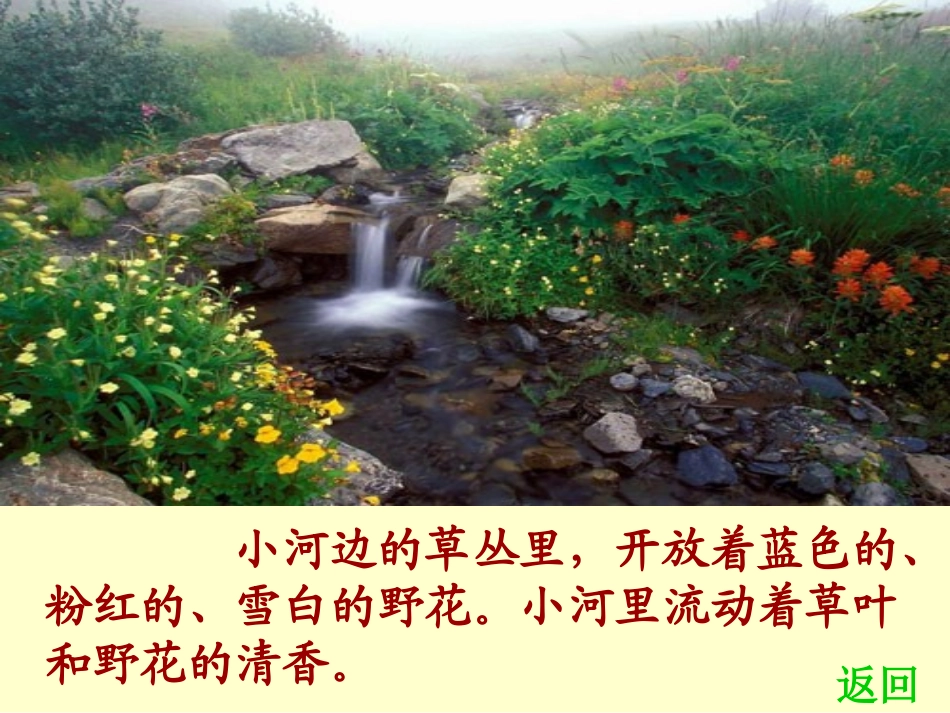豆花庄的小家伙们_第3页