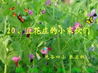 豆花庄的小家伙们