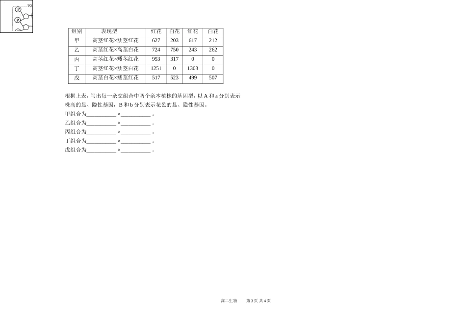 月考二卷(修改)_第2页
