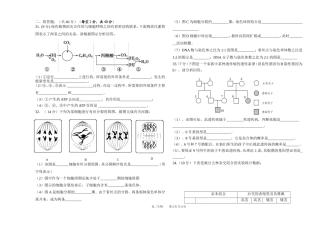 月考二卷(修改)