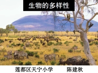陈建秋复习：六上第四单元生物的多样性