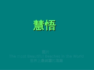 绝美海滩，精彩格言
