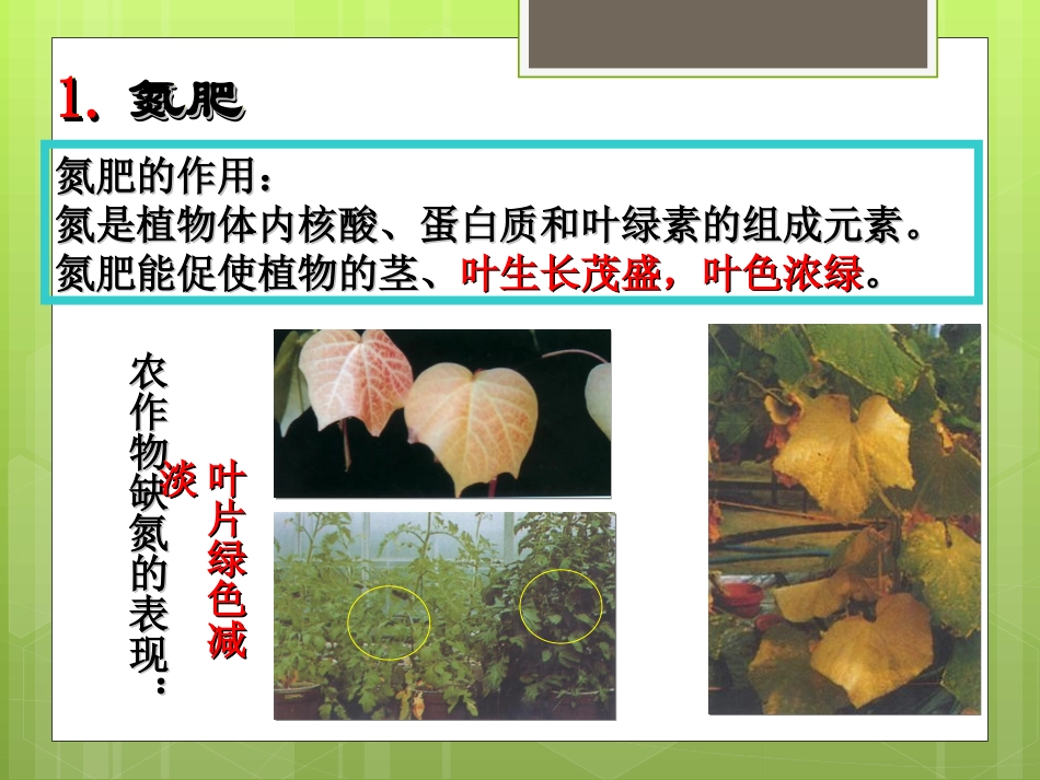 新课标人教版初三化学《化学肥料》课件_第3页