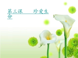 乌兰：让生命之花绽放