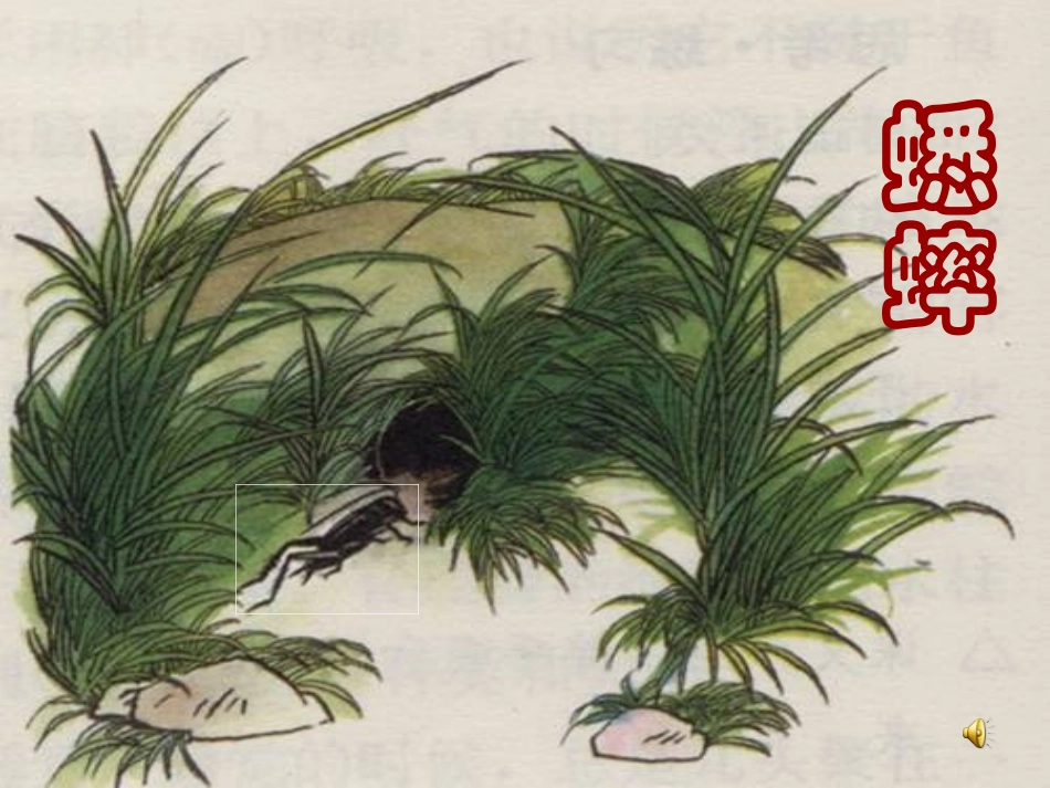 蟋蟀的住宅教学课件_第1页