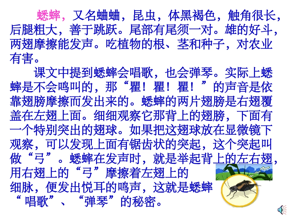 蟋蟀的住宅教学课件_第2页