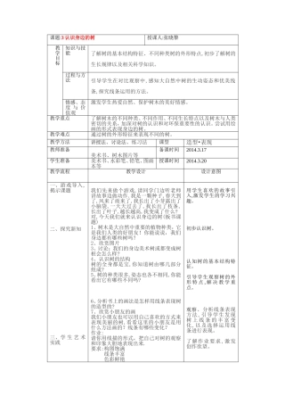 美术课-认识身边的树