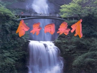 合并同类项课件