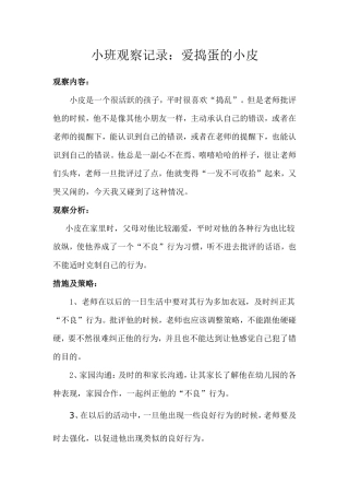 小班观察记录
