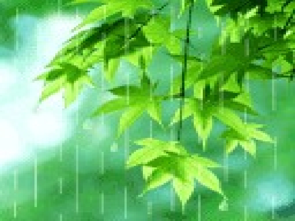 春雨的色彩 课件_第3页