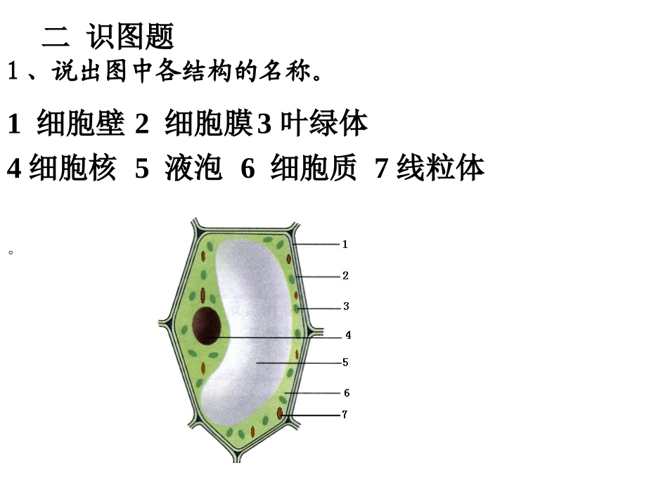 复习课《细胞的结构和功能》_第3页