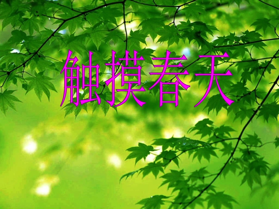 人教版四年级下册语文第五单元17触摸春天_第1页