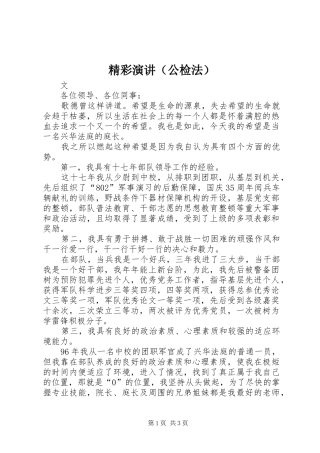 精彩演讲稿（公检法） (3)