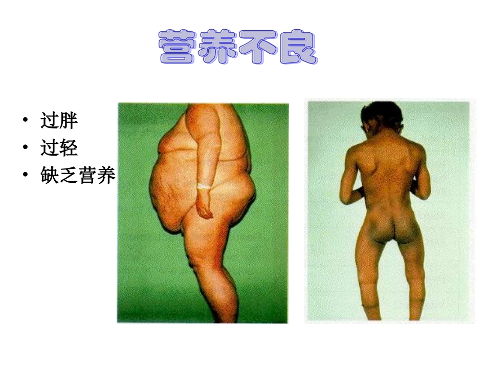 七年级生物膳食指南与食品安全_第3页