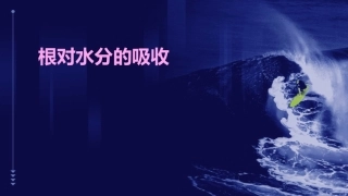 根对水分的吸收课件