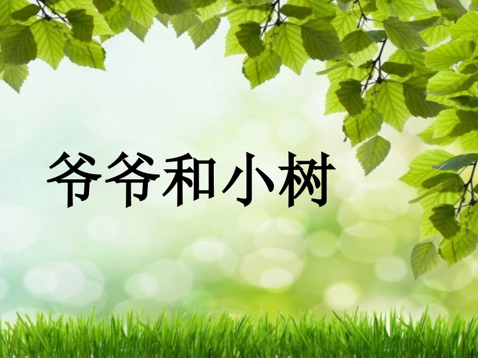 《爷爷和小树》课件_第1页