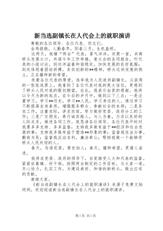新当选副镇长在人代会上的就职演讲稿 (3)