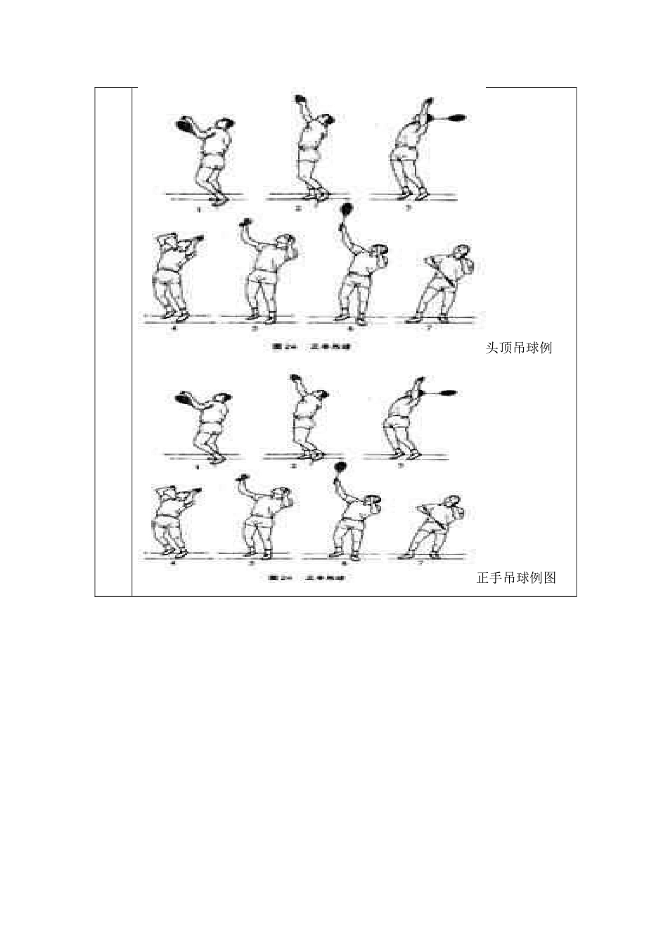 羽毛球、篮球教案_第2页