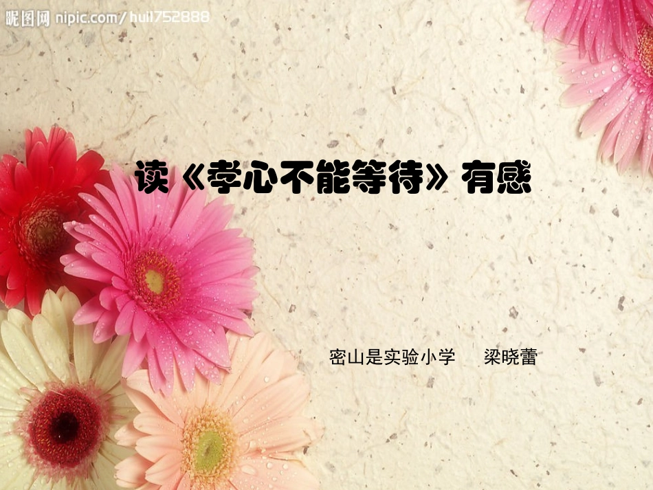 孝心不能等待_第1页