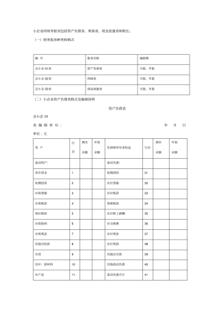 最新小企业财务报表2013版及填表说明