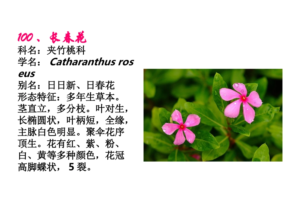 植物竞赛图100-130_第1页